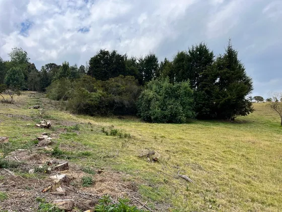 Venta Lote De 10.000 M2 En La Parcelación San Jorge 2, Yerbabuena, Chía (16175).
