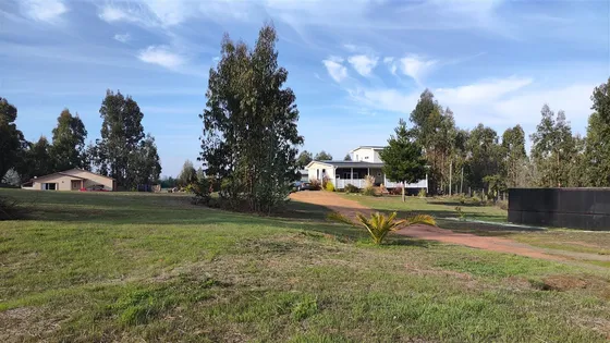 Casas En Parcela De 4 Y 2 Dorm. En Algarrobo