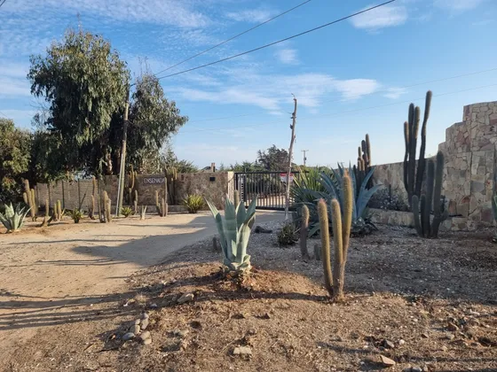 Parcela En Venta Ensenada, Los Vilos