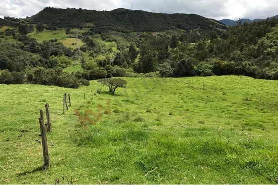 Venta Finca En La Vereda Salitre Alto En Guasca Cundinamarca-5876 (5876).