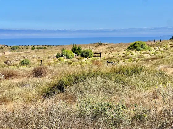 Rico Terreno Con Vista En Condominio Guanay, Maitencillo Sur