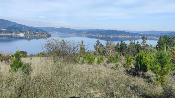 Parcela 2d40 Lago Vichuquen 