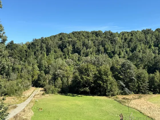 5000m2 Vista Volcan A 15 Min Puerto Varas (100953)