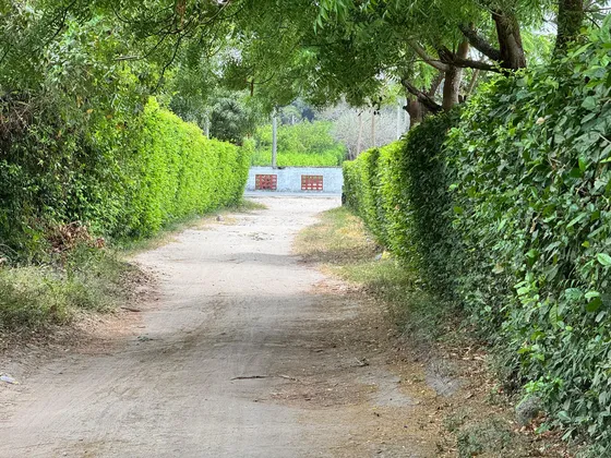Lote De 5000m2 Santo Tomas (cm&d142).