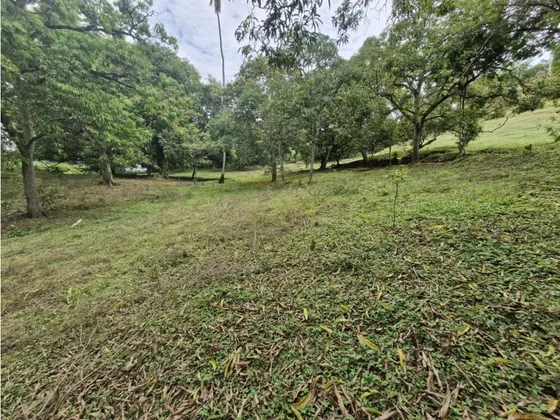 Venta De Lote Independiente En Sopetran