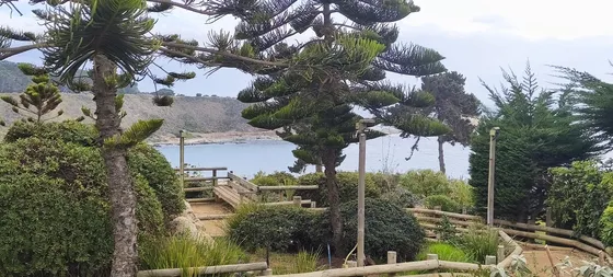 Condominio En Algarrobo Los Pinares Del Canelillo