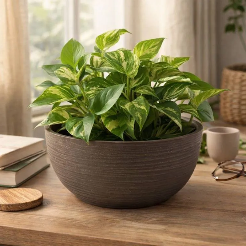 Vaso De Cerâmica Decorativo Marrom Texturizado Redondo