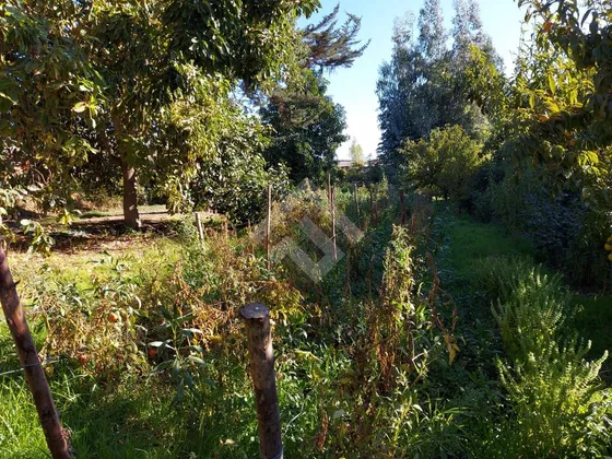 Terreno Construccion En Venta En Talagante