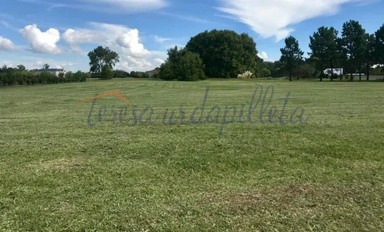 Lote En Venta Central Interno En El Tonó- Pilará- Pilar