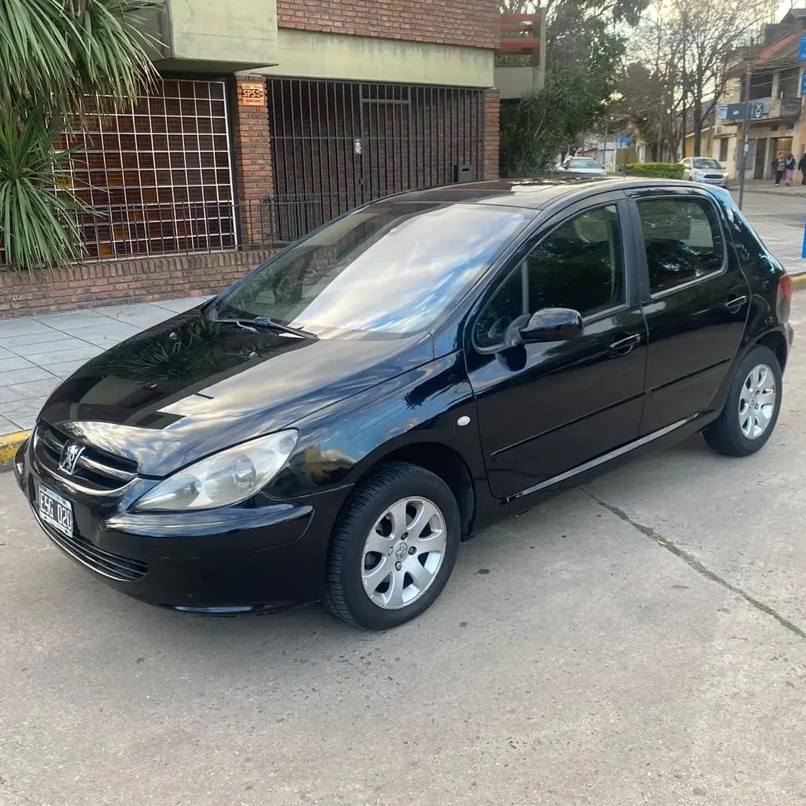 Peugeot 307 2.0 Xs Hdi Premium