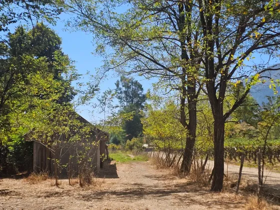 Terreno Agrícola De 12,12 Hectáreas. Posee Derechos De Agua.