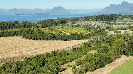 Lotes Entre 1 Y 1,5 Ha Con Vista Despejada Al Lago Ranco Lotes Entre 1 Y 1,5 Ha Con Vista Despejada Al Lago Ranco