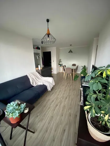 Arriendo Departamento 3d 2b Ainavillo Concepción
