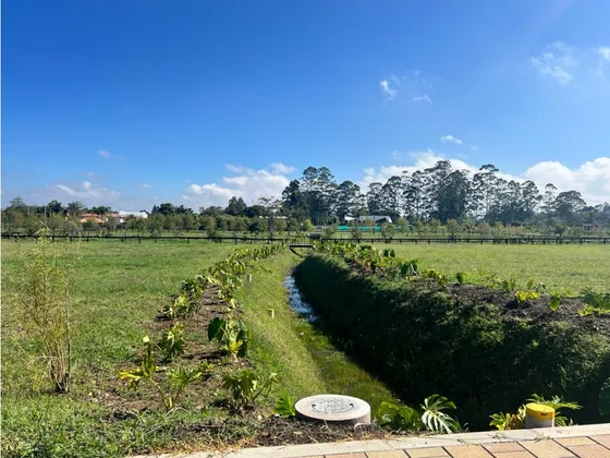 Lote En Venta En Llanogrande, Rionegro. 