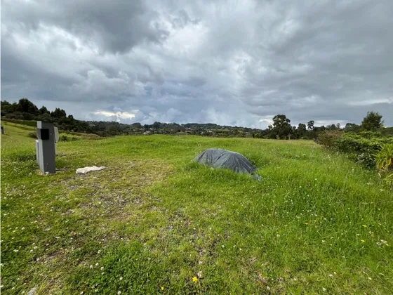 Lote En Venta En Alto De Palmas Nevu
