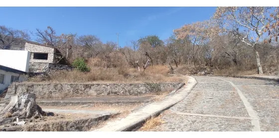 Macrolote En Venta En Xochitepec