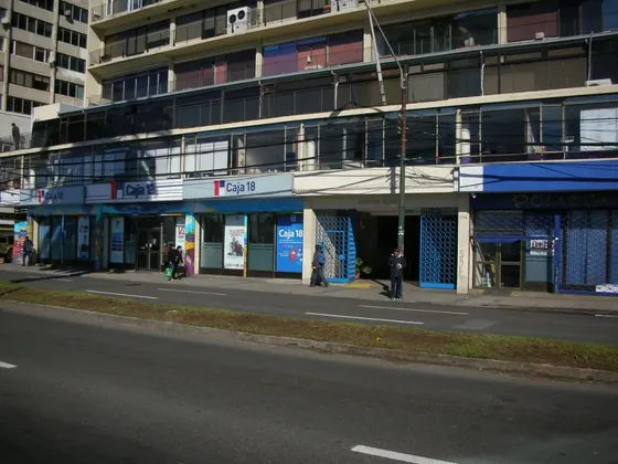 Gran Local Comercial, 600 M2 Aprox, Pleno Errazuriz