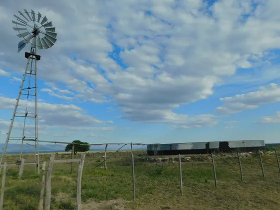  Campo 1000 Has En Venta A 6 Km De Santa Rosa, San Luis   
