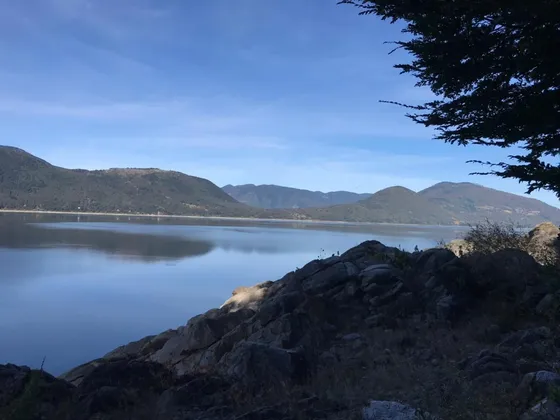 Venta Exclusiva 10 Hectáreas Con Orilla De Lago Caburga 