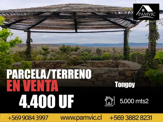 Parcela En Sector Humedal De Changanal