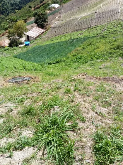 En Venta Terreno Sector La Capilla.. Municipio Tovar Edo Aragua