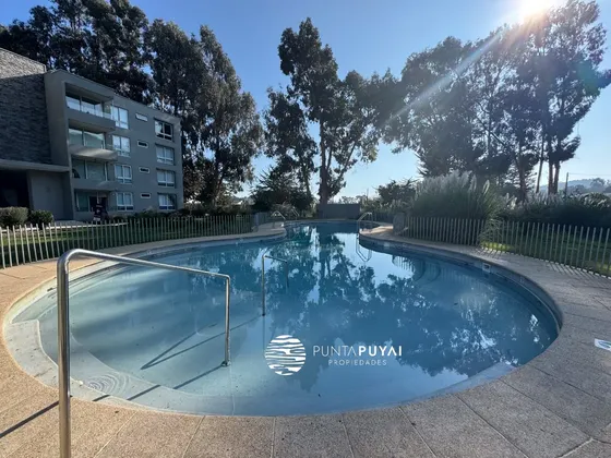 Desconecta En Punta Puyai En Un Acogedor Departamento