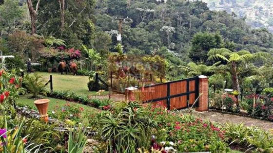Dapa, Casa Campestre, La Propiedad Cuenta Con Un Lote De 12. 900 M2
