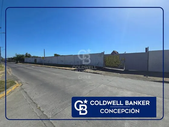 Terreno Para Desarrollo Inmobiliario Jaime Repullo