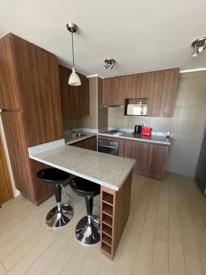 Departamento En Arriendo 1d/1b/1e, Ed. Espacio Parque