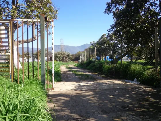 ¡oportunidad Única Parcela En La Cruz!