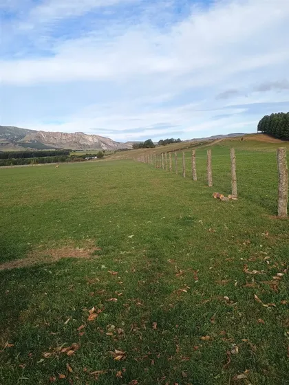 Hermosa Parcela En Venta En Sector Ensenada, Coyhaique