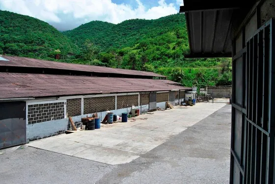 Galpón Venta Mampote Guarenas. Ar. Mls # 24-25903