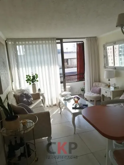 Depto. Plaza Las Lilas - 1 Dor -1 Baño - Estc. - Bod - 40 M2