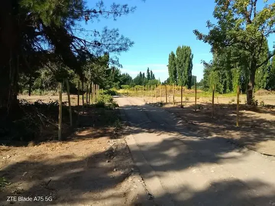 Venta De Parcelas 