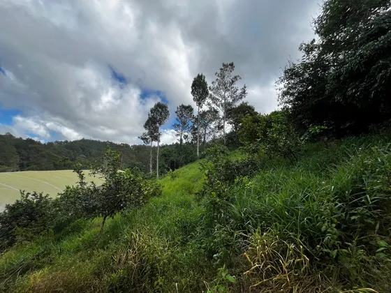 Terreno En Jarabacoa