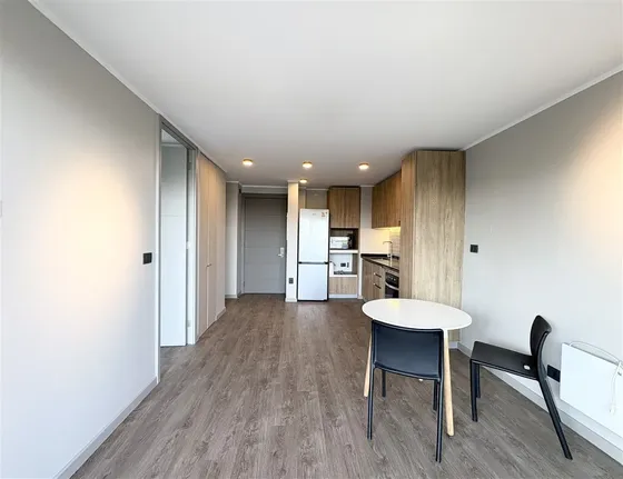 Hermoso Departamento En Arriendo De 1 Dorm. En Providencia