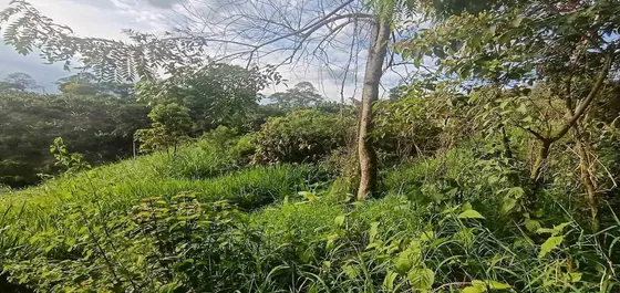 Lote En Venta Vía A Montenegro (279058785).