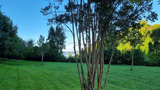 Sitio En Venta En Frutillar