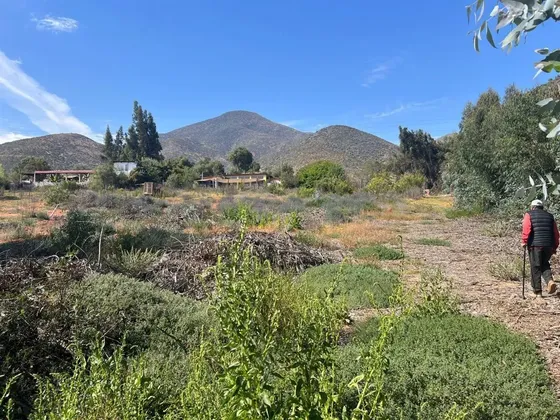 Sitio En Venta En La Serena