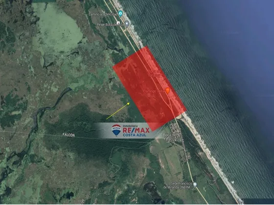 Remax Vende Terreno En Boca De Aroa Con Una Extension De 100 Hectareas 