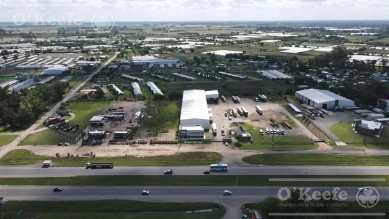 Alquiler Deposito 2600m2 - Ruta 2 - Gba Sur - La Plata - Ideal Logistica.