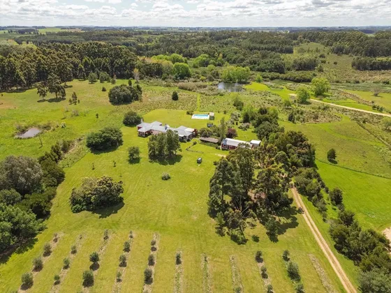 Chacra En Venta Manantiales Ruta 104 Olivos Y Frutales