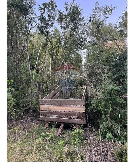 Terreno Ideal En Los Muermos Invierte 30.02 Ha