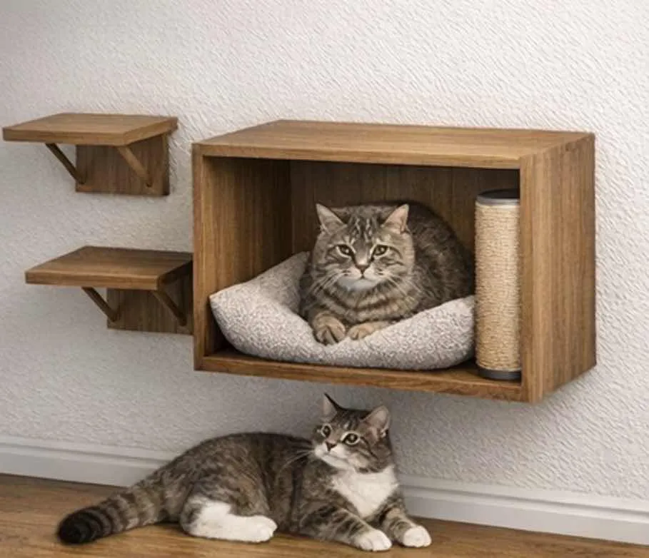 Aerial Cat House406419019306127362