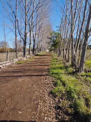 Campo En Pemuco