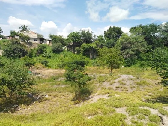 Tlatenchi Terreno Venta Jojutla Morelos
