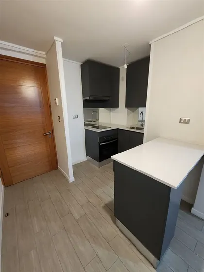 Departamento Estudio En Arriendo. En Santiago