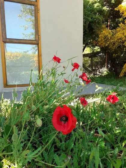 Venta Casa Encantadora En Peninsula San Pedro, Bariloche 