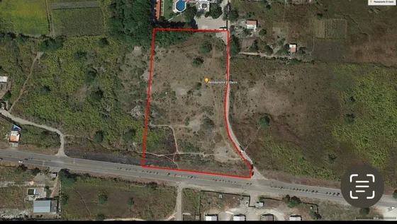 A Un Paso Del Lago De Tequesquitengo - Roq-1063-tu