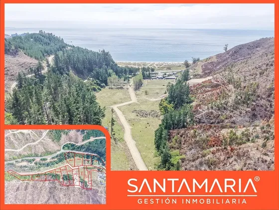 Sitio En Venta En Fundo Las Peñas, Arauco